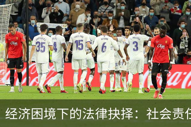 经济困境下的法律抉择：社会责任与个体命运的反思
